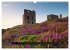 Photographic Cornwall 2026 (Wall... - Bild 13