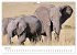 Éléphants en Afrique (Calendrier... - Bild 12