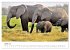 Éléphants en Afrique (Calendrier... - Bild 13