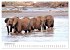 Éléphants en Afrique (Calendrier... - Bild 15
