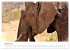 Éléphants en Afrique (Calendrier... - Bild 3