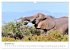 Éléphants en Afrique (Calendrier... - Bild 5