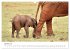 Éléphants en Afrique (Calendrier... - Bild 7