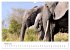 Éléphants en Afrique (Calendrier... - Bild 8