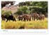 Éléphants en Afrique (Calendrier... - Bild 9