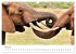 Éléphants en Afrique (Calendrier... - Bild 10