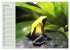 Poison dart frogs / UK-Version /... - Bild 12