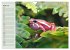 Poison dart frogs / UK-Version /... - Bild 10