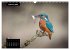 Beautiful birds THE KINGFISHER (Wall... - Bild 8