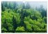 GASPÉSIE. Parc National du Québec... - Bild 11
