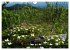 GASPÉSIE. Parc National du Québec... - Bild 12