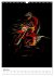 Electrifying Motorcross (Wall Calendar... - Bild 13
