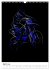 Electrifying Motorcross (Wall Calendar... - Bild 9