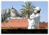 Les chevaux du Maroc (Calendrier mural... - Bild 14