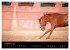Les chevaux du Maroc (Calendrier mural... - Bild 15