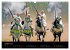 Les chevaux du Maroc (Calendrier mural... - Bild 3