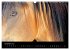 Les chevaux du Maroc (Calendrier mural... - Bild 4