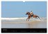 Les chevaux du Maroc (Calendrier mural... - Bild 10