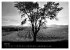 VIGNES DU SUD terroirs d'AOC... - Bild 11