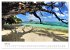 Plages de rêve Seychelles (Calendrier... - Bild 11