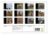 Motocross - MX UK-Version (Wall... - Bild 6