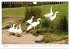 Charming - Mystic Devon Dartmoor, South... - Bild 11