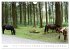 Charming - Mystic Devon Dartmoor, South... - Bild 13