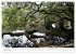 Charming - Mystic Devon Dartmoor, South... - Bild 7