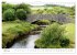 Charming - Mystic Devon Dartmoor, South... - Bild 9