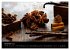 SPICES (Wall Calendar 2026 DIN A3... - Bild 5
