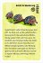 black stories junior Tierisch wild! - Bild 2