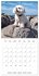 Portraits de petits chiens (Calendrier... - Bild 2