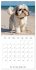 Portraits de petits chiens (Calendrier... - Bild 11