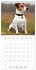 Portraits de petits chiens (Calendrier... - Bild 14