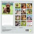 Portraits de petits chiens (Calendrier... - Bild 5