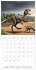 New Animal Kingdom (Wall Calendar 2026... - Bild 4