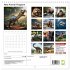 New Animal Kingdom (Wall Calendar 2026... - Bild 5