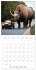 New Animal Kingdom (Wall Calendar 2026... - Bild 8