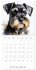 Artistic Dog Breeds (Wall Calendar 2026... - Bild 11