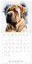 Artistic Dog Breeds (Wall Calendar 2026... - Bild 12