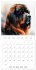 Artistic Dog Breeds (Wall Calendar 2026... - Bild 14