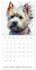 Artistic Dog Breeds (Wall Calendar 2026... - Bild 15