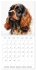 Artistic Dog Breeds (Wall Calendar 2026... - Bild 4