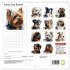 Artistic Dog Breeds (Wall Calendar 2026... - Bild 5