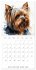 Artistic Dog Breeds (Wall Calendar 2026... - Bild 6
