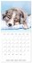 Sleeping Puppies (Wall Calendar 2026 12... - Bild 2