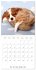 Sleeping Puppies (Wall Calendar 2026 12... - Bild 11