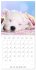 Sleeping Puppies (Wall Calendar 2026 12... - Bild 12
