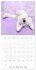 Sleeping Puppies (Wall Calendar 2026 12... - Bild 14