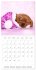 Sleeping Puppies (Wall Calendar 2026 12... - Bild 4